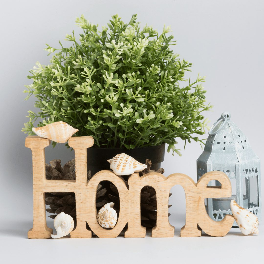 ​A decorative arrangement featuring the word "Home" in wooden letters adorned with small seashells. Behind the letters is a potted green plant, and to the right is a silver lantern. The setup is on a neutral background, giving it a cozy, seaside-inspired look.