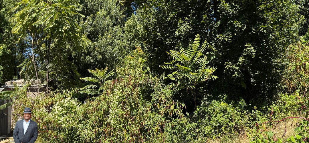 A dense area of green foliage with various trees and shrubs under a clear blue sky. A person in a suit and hat stands to the left. Text reads "A Rare Chance in Quantico."