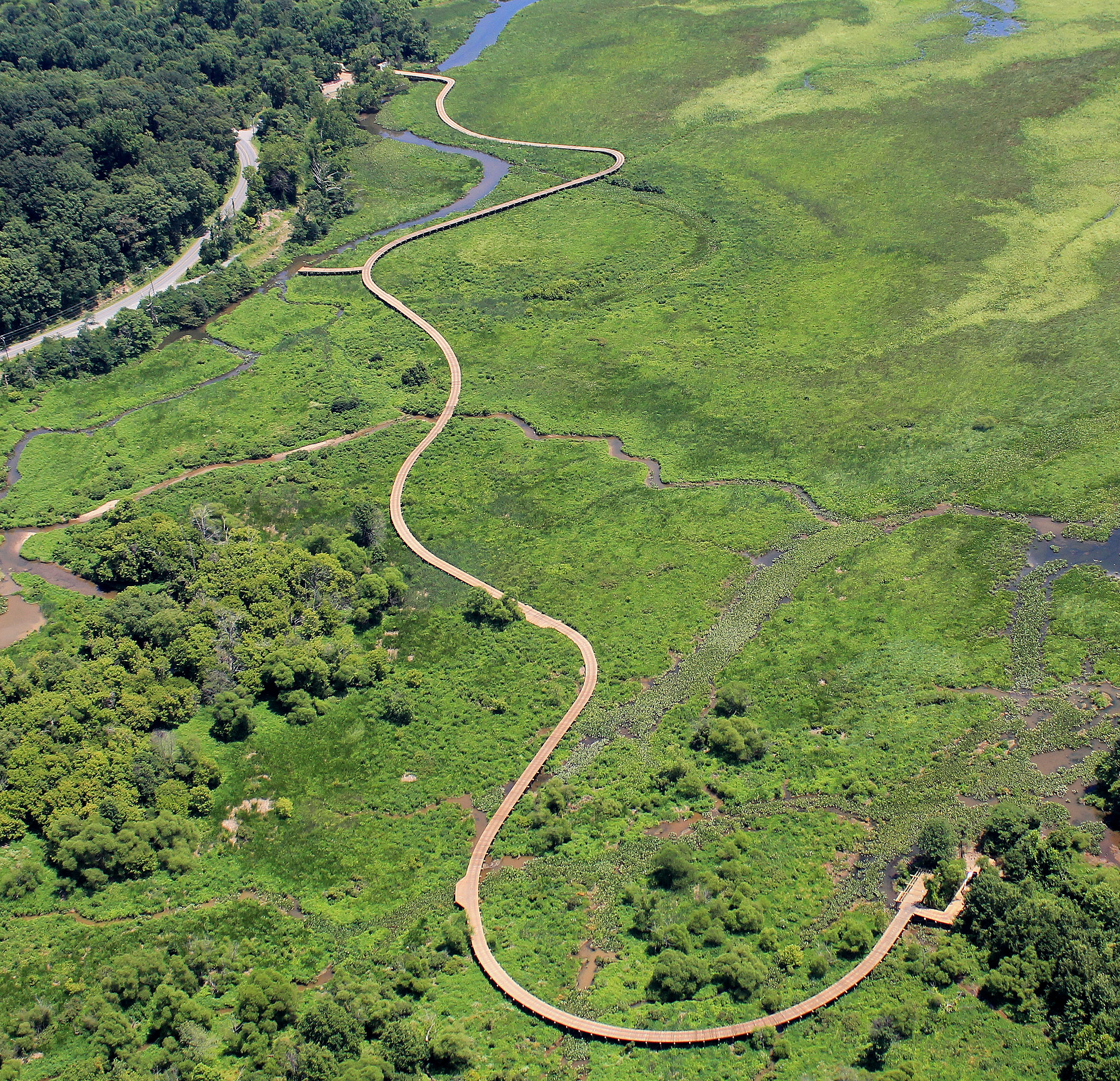 Neabsco Creek Boardwalk through wetlands